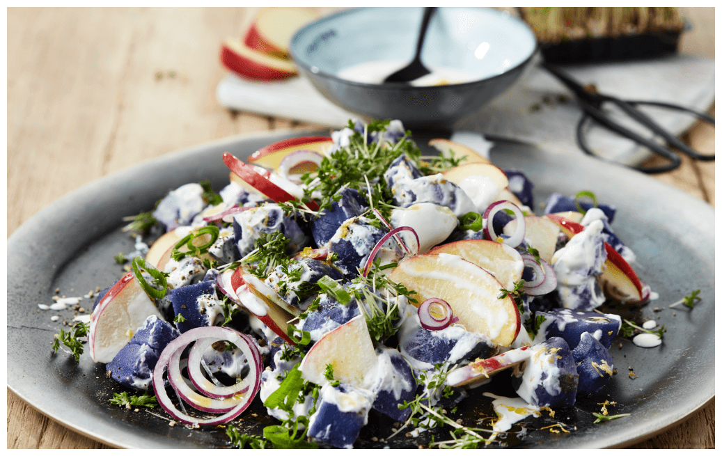 Blauer Kartoffelsalat mit Fräulein